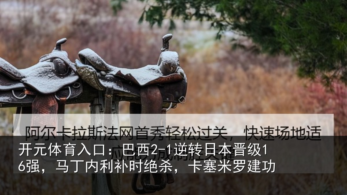 开元体育入口：巴西相关情况丁内相关情况罗建功