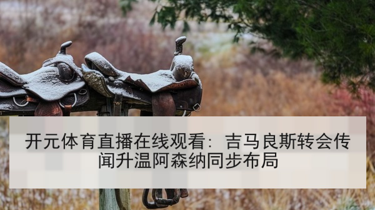 开元体育直播在线观看: 吉马良斯转会传闻升温阿森纳同步布局 开元体育直播在线观看: 吉马良斯转会传闻升温阿森纳同步布局