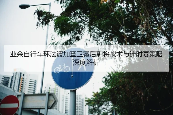 业余自行车环法波加查卫冕后副将战术与计时赛策略深度解析