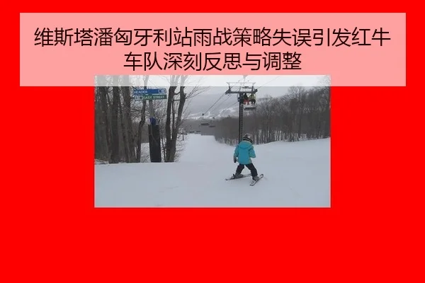 wei-si-ta-pan-xiong-ya-li-zhan-yu-zhan-ce-lve-shi-wu-yin-fa-hong-niu-che-dui-shen-ke-fan-si-yu-tiao-zheng-3-212.jpg